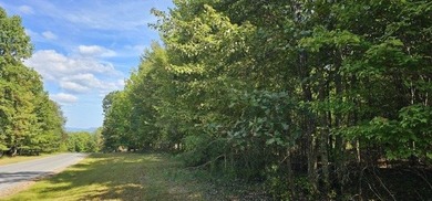 Beautiful 2.81 acre building lot in Phase 5 of Stone Creek - photo 27