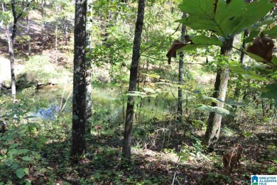 Logan Martin Lake Lot For Sale in Vincent Alabama