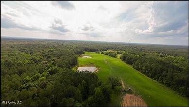 (private lake, pond, creek) Acreage For Sale in Lexington Mississippi