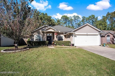 Doctors Lake Home Active Under Contract in Middleburg Florida