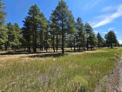 Village Lake Lot For Sale in Pagosa Springs Colorado