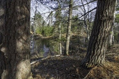 A rare opportunity to own a pretty peninsula parcel within the - photo 2