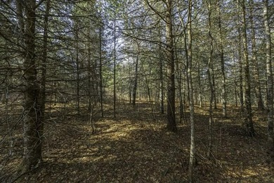 A rare opportunity to own a pretty peninsula parcel within the - photo 3