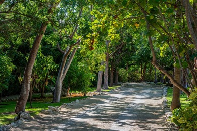 Commanding 170 feet of private Florida Bay frontage, and - photo 4