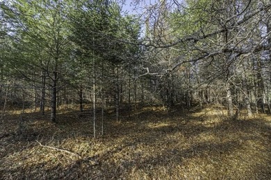 A rare opportunity to own a pretty peninsula parcel within the - photo 4