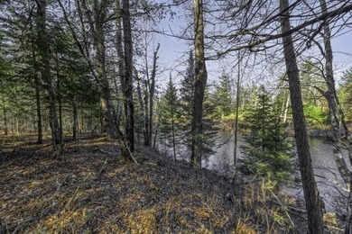 A rare opportunity to own a pretty peninsula parcel within the - photo 5