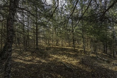 A rare opportunity to own a pretty peninsula parcel within the - photo 7