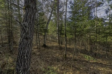 A rare opportunity to own a pretty peninsula parcel within the - photo 9