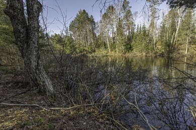 A rare opportunity to own a pretty peninsula parcel within the - photo 10