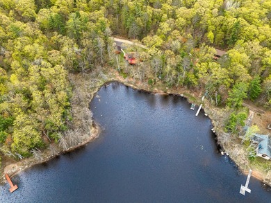 Lotus Lake - This impressive 4 bedroom, 2 bath home boasts over - photo 3
