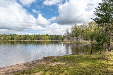 Lotus Lake - This impressive 4 bedroom, 2 bath home boasts over - photo 9