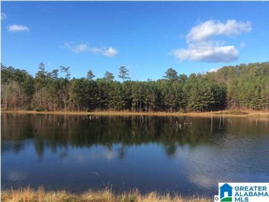 Logan Martin Lake Lot For Sale in Vincent Alabama