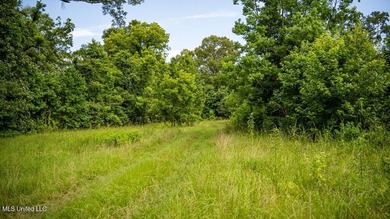 Lake Acreage For Sale in Zachary, Louisiana