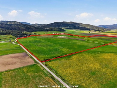 A rare opportunity to own a 392.5 ac turnkey equestrian ranch - photo 5