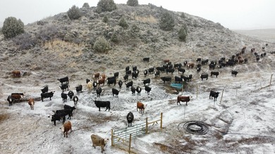 Rolling hills, lush pastures, and pristine riparian corridors - photo 25