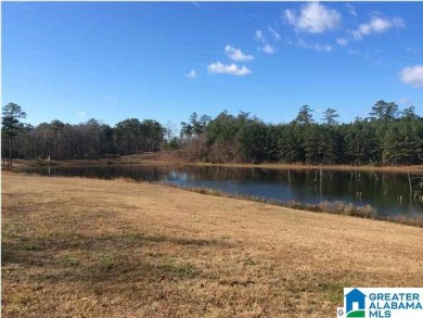 Logan Martin Lake Lot For Sale in Vincent Alabama