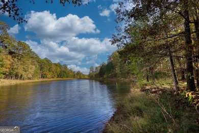 Lake Lot For Sale in Greensboro, Georgia