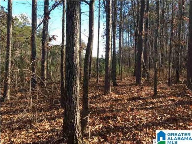 Logan Martin Lake Lot For Sale in Vincent Alabama