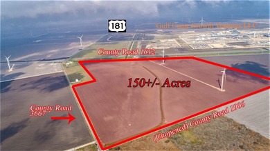 The rapidly expanding San Patricio County economic expansion - photo 11