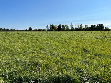 An estate sized property awaits you near the shores of Lake - photo 11
