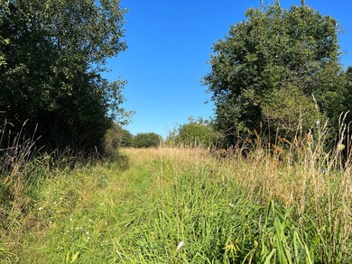 An estate sized property awaits you near the shores of Lake - photo 12