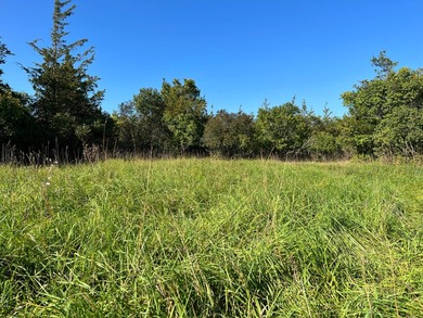 An estate sized property awaits you near the shores of Lake - photo 15