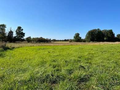 An estate sized property awaits you near the shores of Lake - photo 16