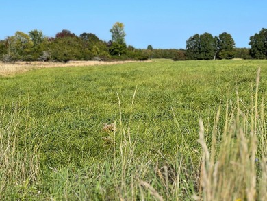 An estate sized property awaits you near the shores of Lake - photo 17