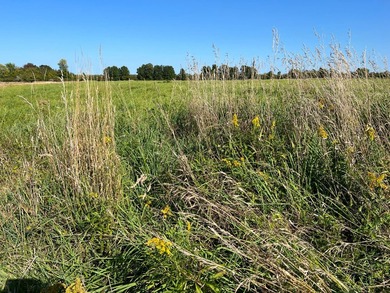 An estate sized property awaits you near the shores of Lake - photo 18