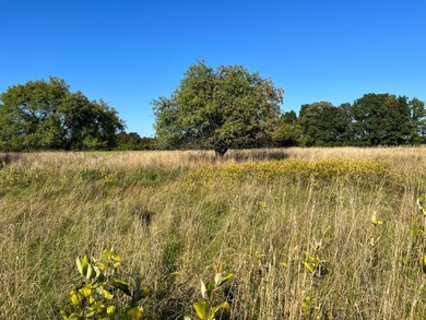 An estate sized property awaits you near the shores of Lake - photo 19