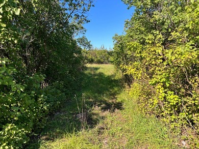 An estate sized property awaits you near the shores of Lake - photo 21