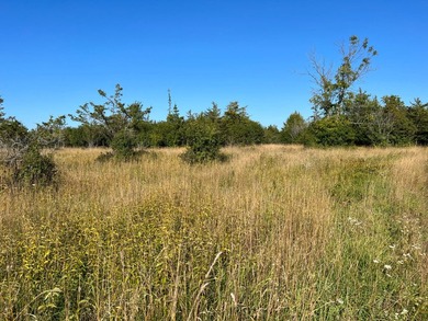 An estate sized property awaits you near the shores of Lake - photo 22