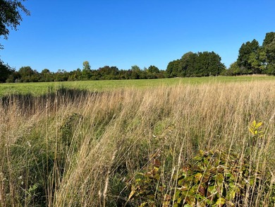 An estate sized property awaits you near the shores of Lake - photo 27