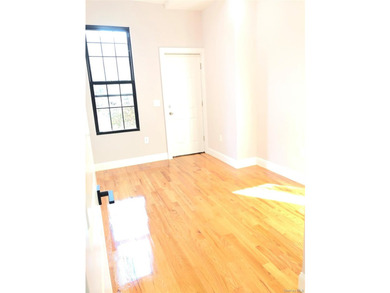Beautiful Sunny Home in Prime Brooklyn Near Woodhaven, Queens - photo 9
