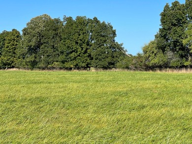 An estate sized property awaits you near the shores of Lake - photo 30