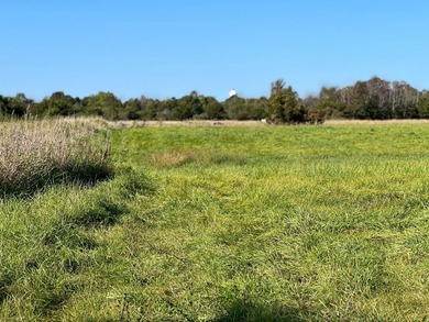 An estate sized property awaits you near the shores of Lake - photo 31