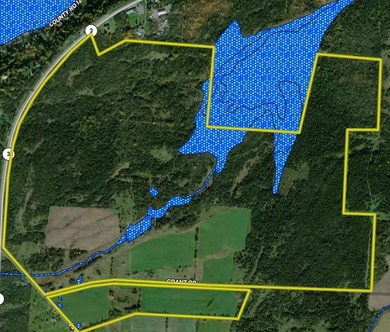 An estate sized property awaits you near the shores of Lake - photo 33