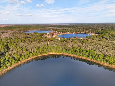 Lake Lynn Home For Sale in Silver Springs Florida