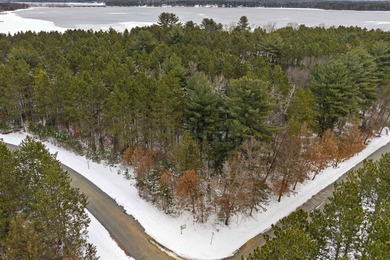 Castle Rock Lake Lot For Sale in Necedah Wisconsin