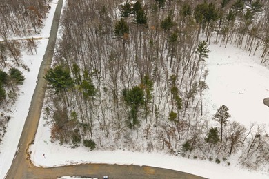 Castle Rock Lake Acreage For Sale in Necedah Wisconsin