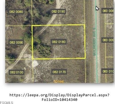 Lehigh Acres Area Lot For Sale in Lehigh Acres Florida