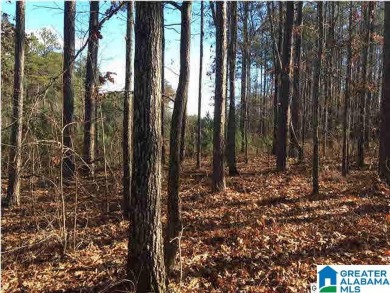 Logan Martin Lake Lot For Sale in Vincent Alabama