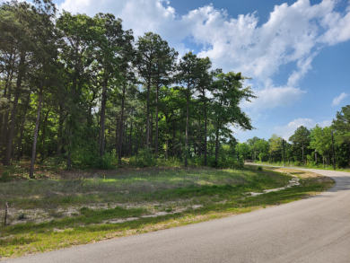 Build Your Dream Home in Legacy Shores on Lake Palestine - photo 2