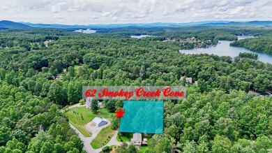 Lake Lot For Sale in Blairsville, Georgia