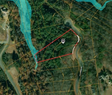 1.75 Acres Near Douglas Lake SOLD - photo 22