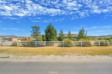 49701 Sky Harbor - photo 17