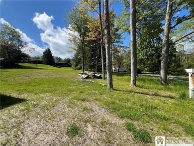 Chautauqua Lake Lot For Sale in Jamestown New York