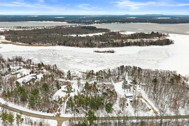 Castle Rock Lake Lot For Sale in Necedah Wisconsin