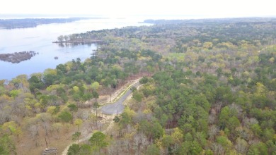 Build Your Dream Home in Legacy Shores on Lake Palestine - photo 13