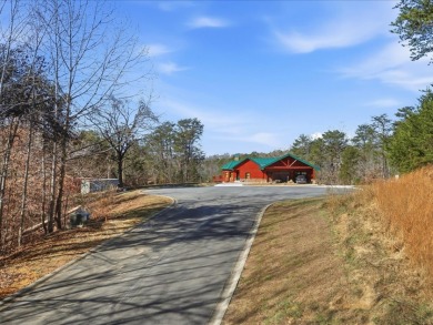1.75 Acres Near Douglas Lake SOLD - photo 3
